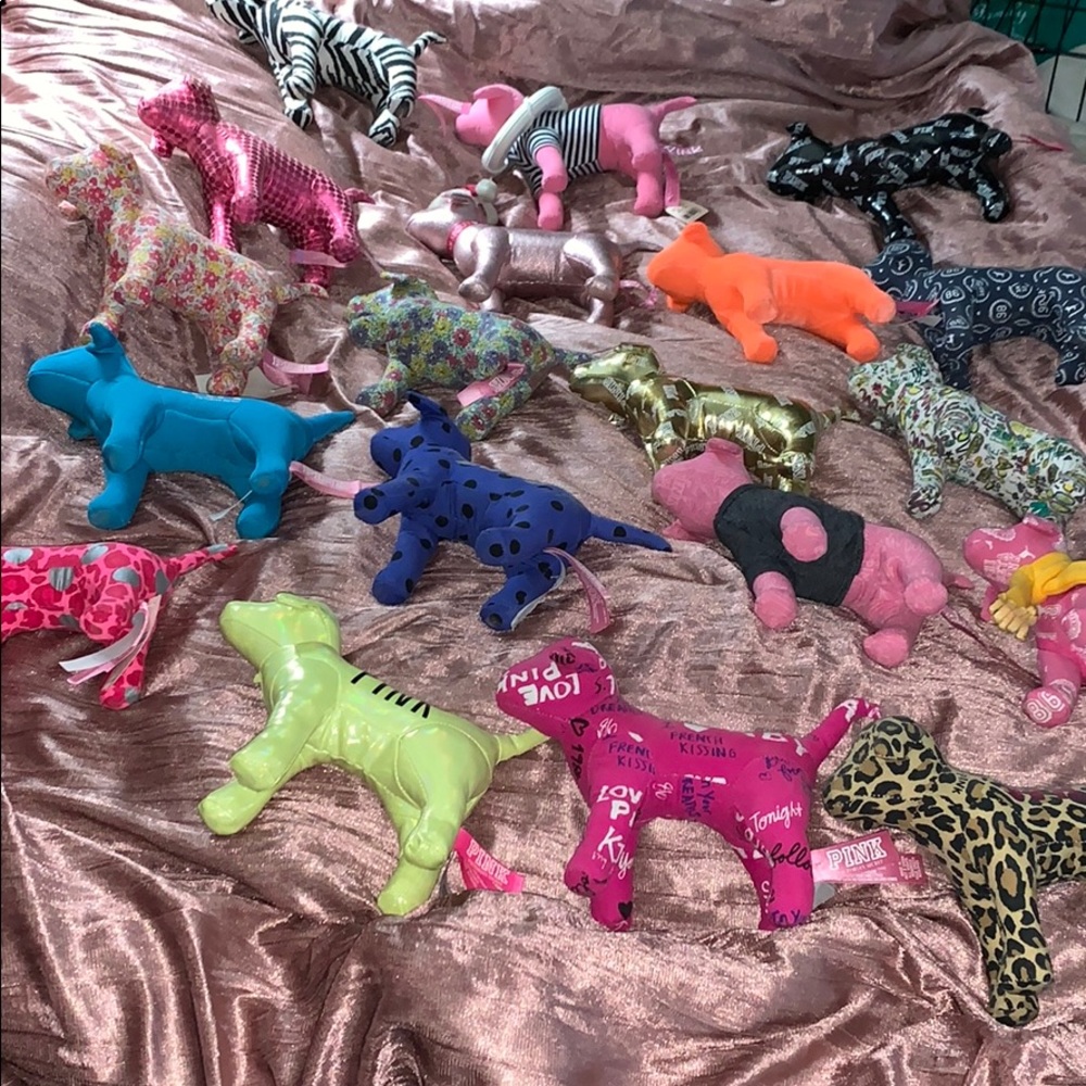 VS PINK dogs-WHOLE LOT